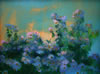 Jackson Hensley Gallery: Image